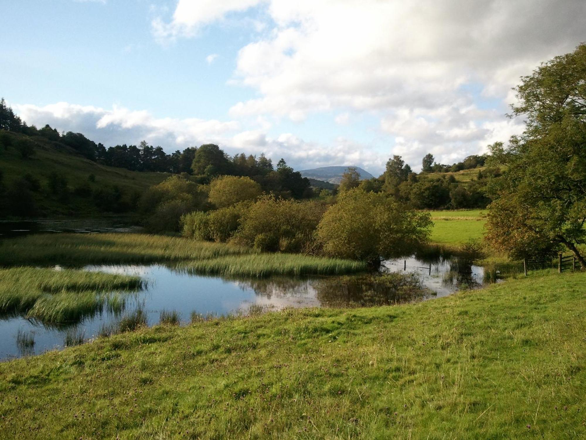The Westbourne Hotel Bowness-on-Windermere Eksteriør billede